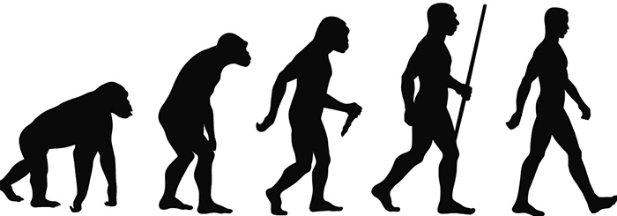 Evolution